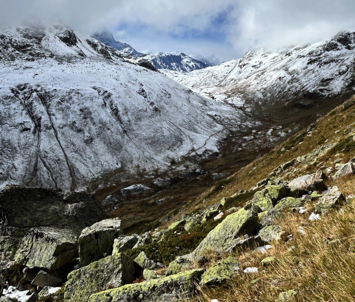 Stacks Image 14